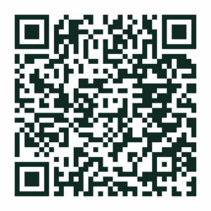 QR-код чата в Max